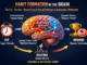 Habit formation process in the brain showing cue routine reward loop and neural pathways involved in automatic behavior